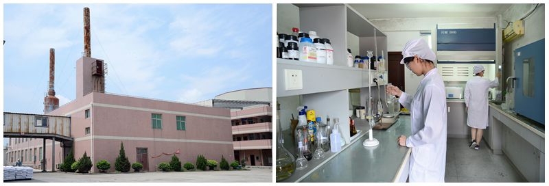 завод по производству меламинового порошка и лаборатория в Китае